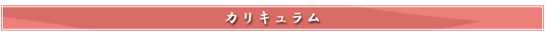 カリキュラム