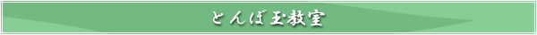 スタジオヤマノについて