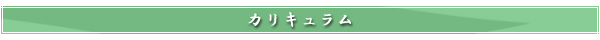 カリキュラム