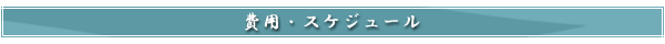 費用・スケジュール