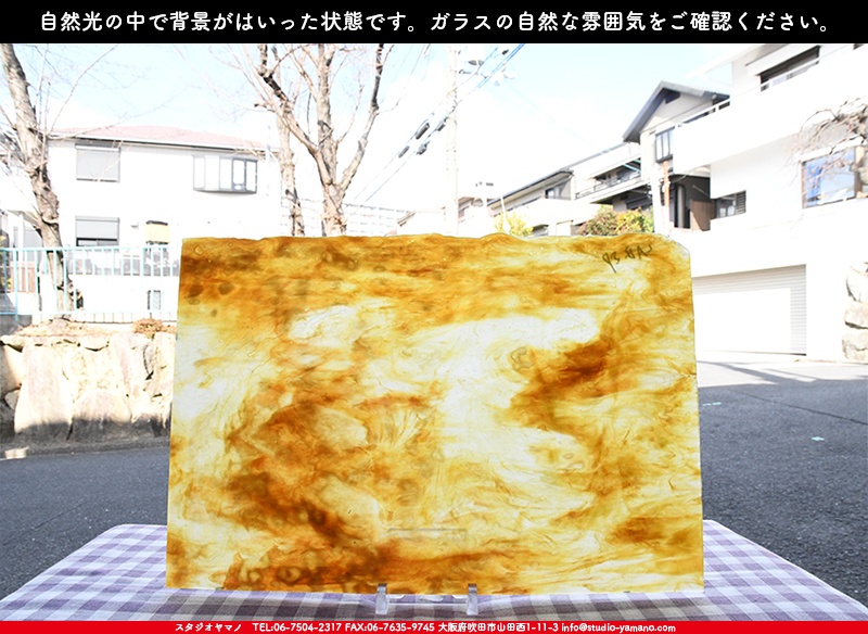 ヤカゲニー_UG_LAB-SP_C_702202200013_写真の1/2が基本サイズ_30cm