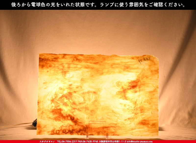 ヤカゲニー_UG_LAB-SP_C_702202200013_写真の1/2が基本サイズ_