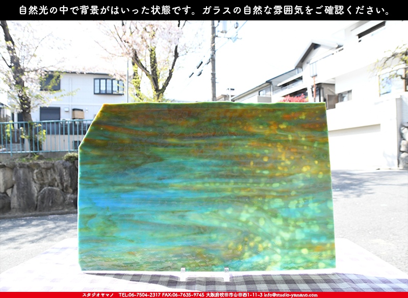 ヤカゲニー_UG_6642-RG_A_702202200024_写真の1/2が基本サイズ_30cm