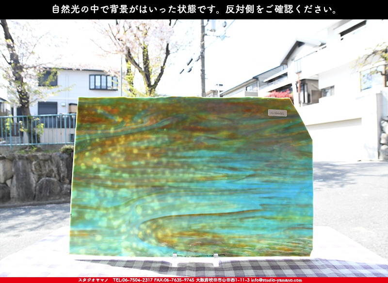 ヤカゲニー_UG_6642-RG_A_702202200024_写真の1/2が基本サイズ_30cm