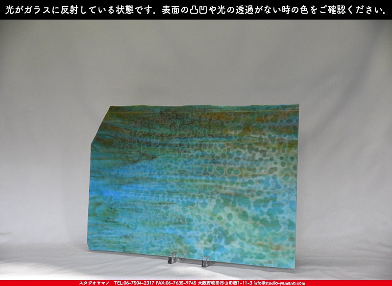 ヤカゲニー_UG_6642-RG_A_702202200024_写真の1/2が基本サイズ_30cm