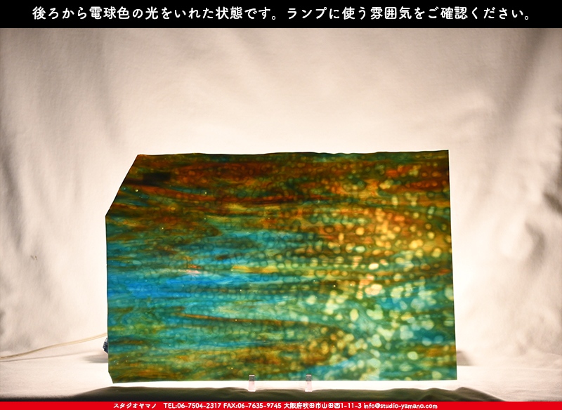 ヤカゲニー_UG_6642-RG_A_702202200024_写真の1/2が基本サイズ_30cm