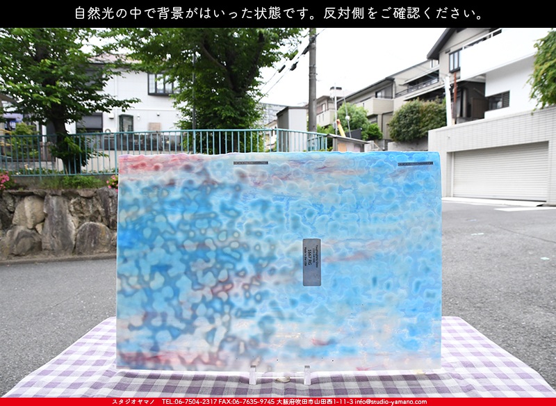 ヤカゲニー_UG_1667-RG_E_702202200046_写真の1/2が基本サイズ_30cm