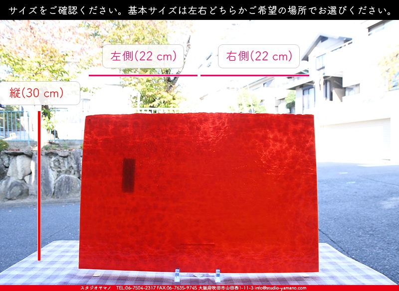 ヤカゲニー_UG_9500-HS_G_702202200154_写真の1/2が基本サイズ_30cm