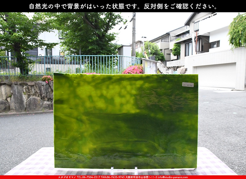 ヤカゲニー_UG_4403-RG_A_702202300037_写真の1/2が基本サイズ_30cm