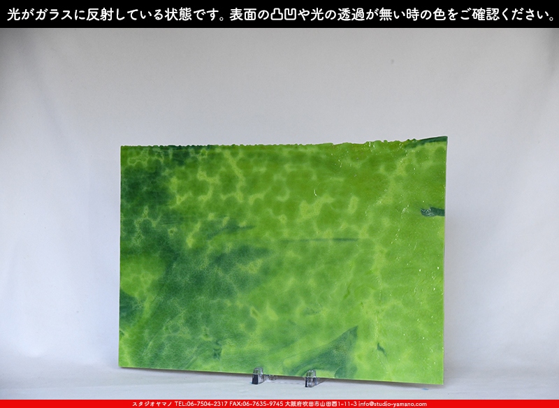 ヤカゲニー_UG_4403-RG_A_702202300037_写真の1/2が基本サイズ_30cm