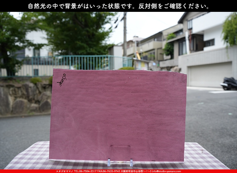 ヤカゲニー_UG_3000-SP_C_702202300050_写真の1/2が基本サイズ_30cm
