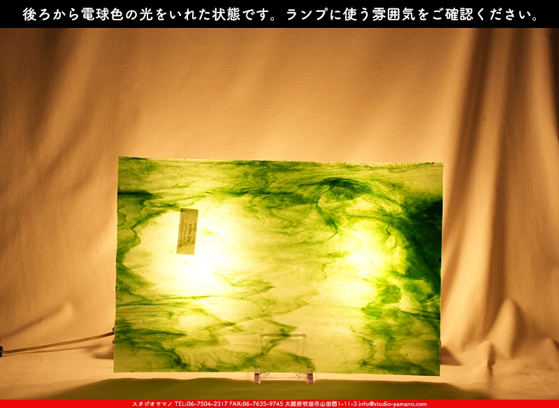 ヤカゲニー_UG_4444-SP_C_702202500001_写真の1/2が基本サイズ_30cm