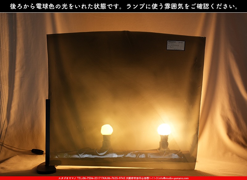 フリモント_FR_ 002_S1_705202400002_写真の全体が基本サイズ_52cm
