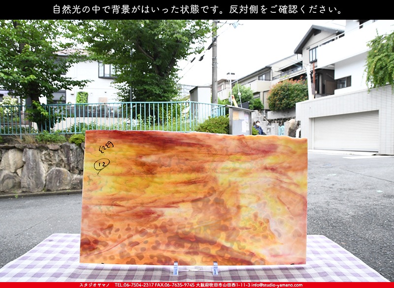 カラスヤマ様2点おまとめ カラスヤマ様2点おまとめ 製品詳細 | 大光電機株式会社