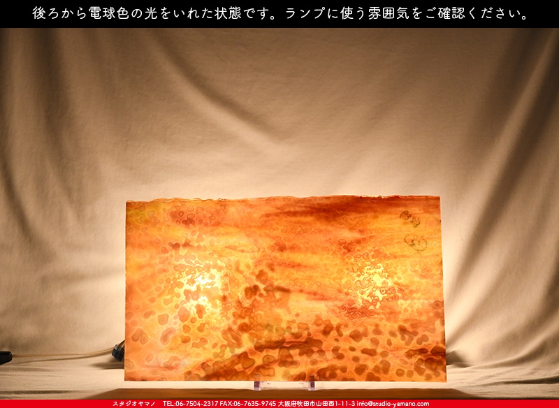 ブルザイ_BU_6323-0000_BU_E_719202200047_写真の1/2が基本サイズ_25cm