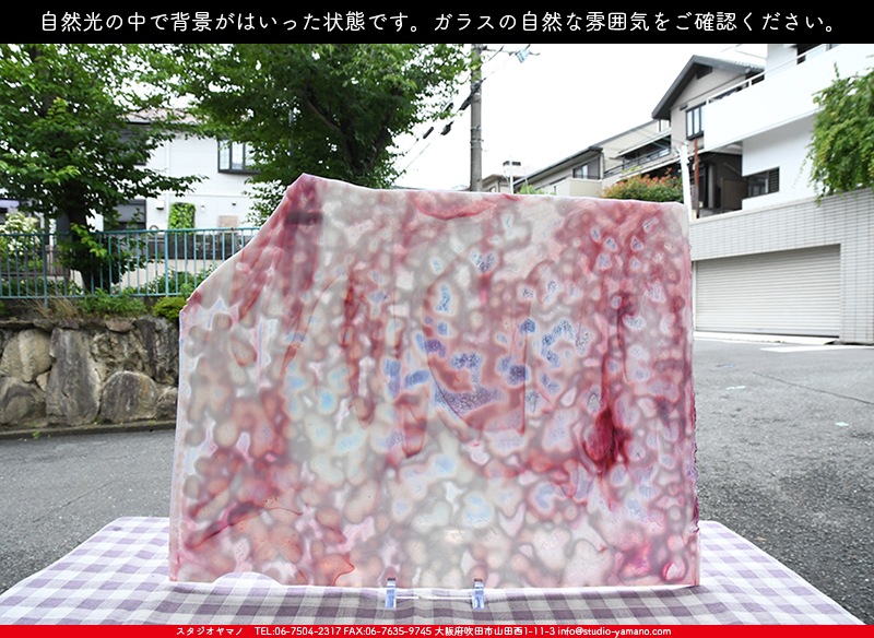 オセアナ_OC_601_C_737202200003_写真の1/2が基本サイズ_34cm×22cm