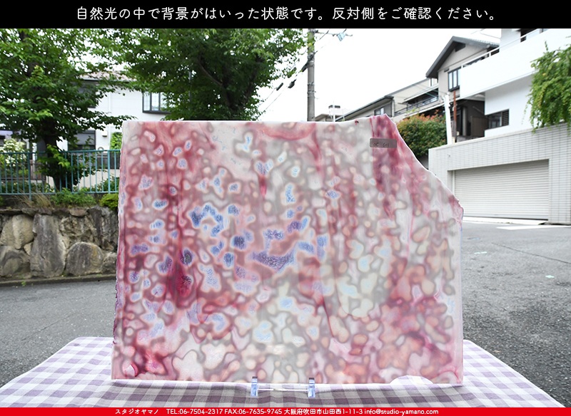 オセアナ_OC_601_C_737202200003_写真の1/2が基本サイズ_34cm×22cm